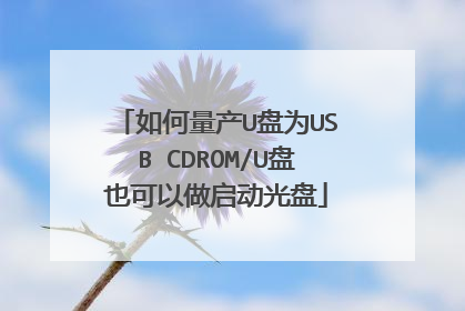 �������U��ΪUSB CDROM/U��Ҳ��������������