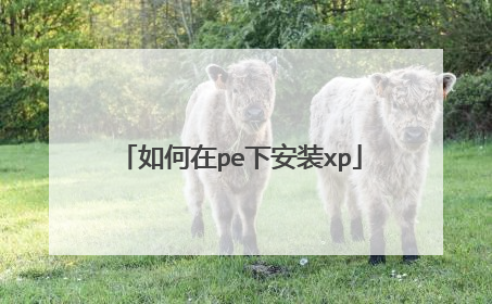 �����pe�°�װxp