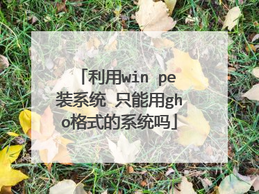 ����win peװϵͳ ֻ����gho��ʽ��ϵͳ��