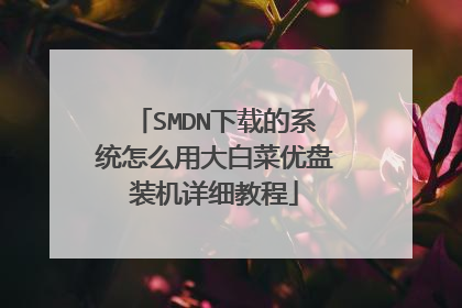 SMDN���ص�ϵͳ��ô�ô�ײ�����װ����ϸ�̳�