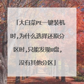��ײ�PEһ��װ��ʱ,Ϊʲôѡ��ԭ����ʱ,ֻ�ܷ���U��,û����������