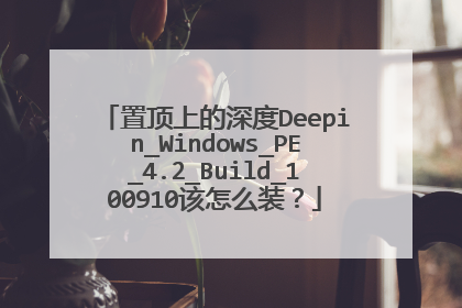 �ö��ϵ����Deepin_Windows_PE_4.2_Build_100910����ôװ��