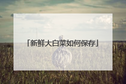 ���ʴ�ײ���α���