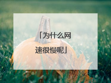 Ϊʲô���ٺ�����