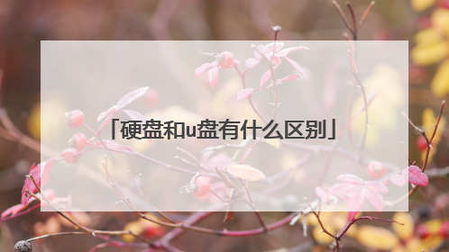 Ӳ�̺�u����ʲô����