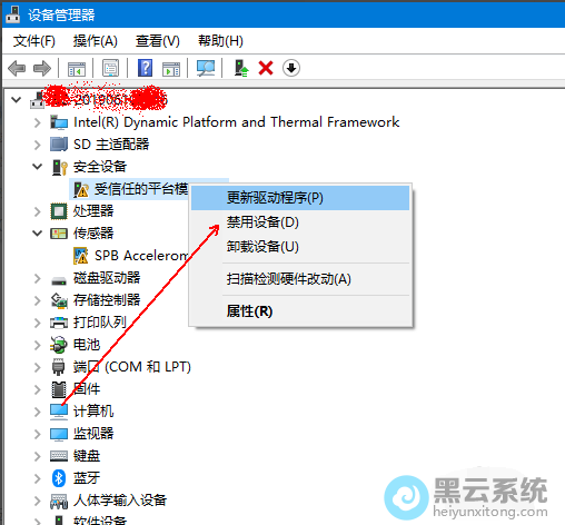 ���������������ѡ��