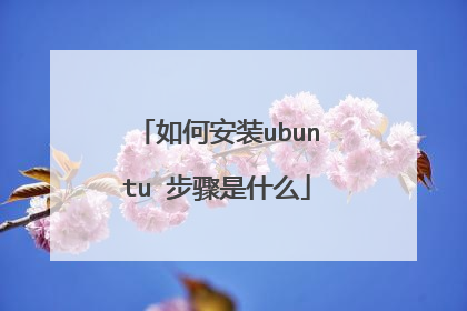 ��ΰ�װubuntu ������ʲô