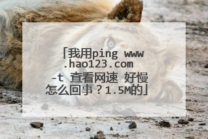 ����ping www.hao123.com -t �鿴���� ������ô���£�1.5M��