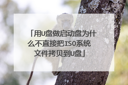 ��U����������Ϊʲô��ֱ�Ӱ�ISOϵͳ�ļ�������U��
