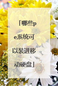 ��Щpeϵͳ����װ���ƶ�Ӳ��