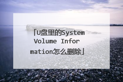 U�����System Volume Information��ôɾ��