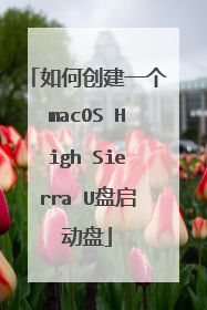 ��δ���һ��macOS High Sierra U��������