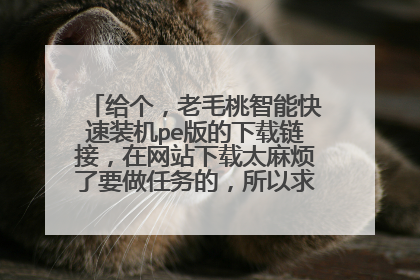 ��������ë�����ܿ���װ��pe����������ӣ�����վ����̫�鷳��Ҫ������ģ������������ֱ������