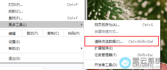 ѡ�����������ݡ�