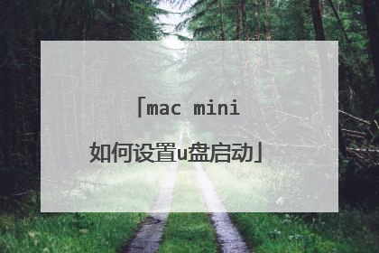 mac mini�������u������
