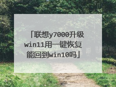 ����y7000����win11��һ���ָ��ܻص�win10��