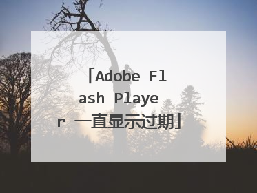 Adobe Flash Player һֱ��ʾ����