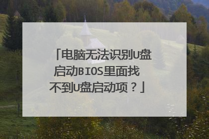 �����޷�ʶ��U������BIOS�����Ҳ���U�������