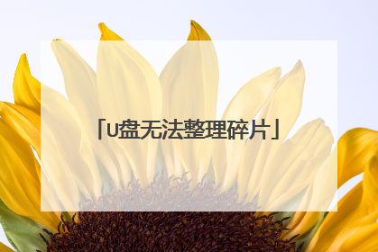 U���޷�������Ƭ