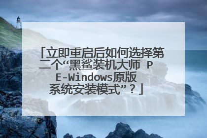 �������������ѡ��ڶ���������װ����ʦ PE-Windowsԭ��ϵͳ��װģʽ����