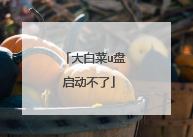 ��ײ�u����������