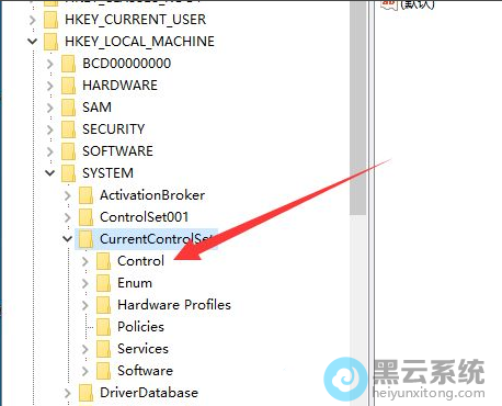 չ��CurrentControlSet�µ�Control