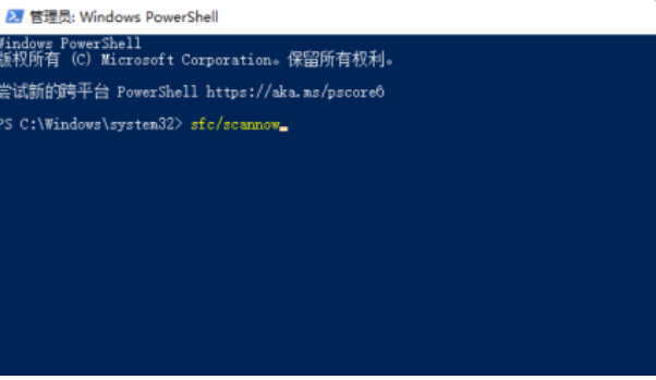 Win11������ô�죿Win11��������취