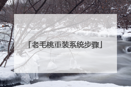 ��ë����װϵͳ����