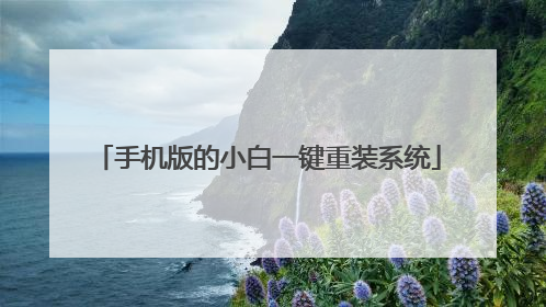 �ֻ����С��һ����װϵͳ