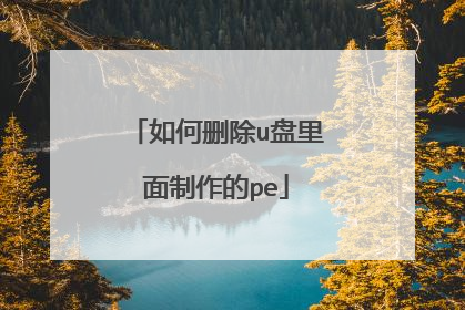 ���ɾ��u������������pe