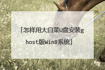 �����ô�ײ�U�̰�װghost��Win8ϵͳ