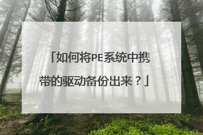 ��ν�PEϵͳ��Я�����������ݳ�����