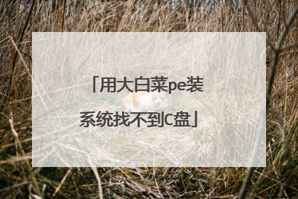 �ô�ײ�peװϵͳ�Ҳ���C��