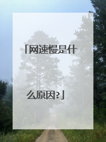 ��������ʲôԭ��?