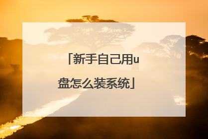 新手自己用u盘怎么装系统
