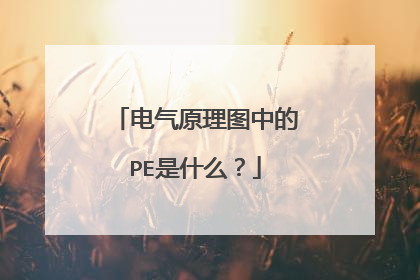 ����ԭ��ͼ�е�PE��ʲô��