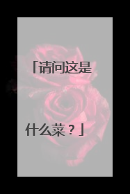 ��������ʲô�ˣ�