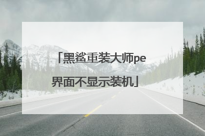 ������װ��ʦpe���治��ʾװ��