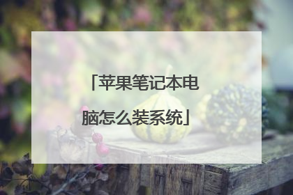 苹果笔记本电脑怎么装系统