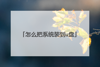 ��ô��ϵͳװ��u��