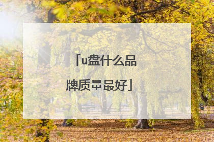 u��ʲôƷ���������