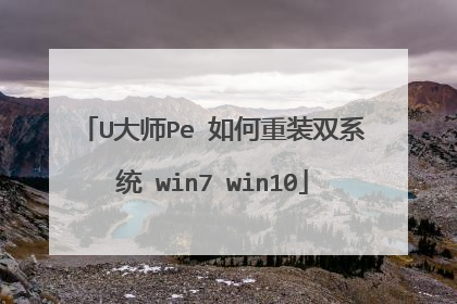 U��ʦPe �����װ˫ϵͳ win7 win10