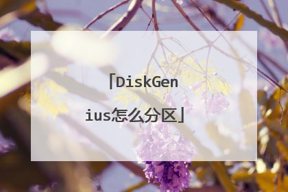 DiskGenius��ô����