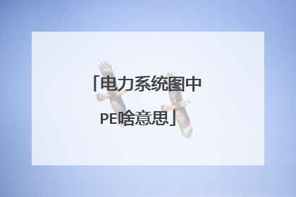 ����ϵͳͼ��PEɶ��˼