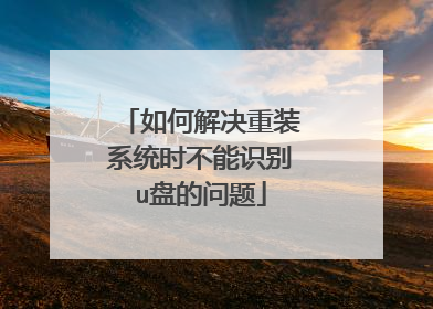 如何解决重装系统时不能识别u盘的问题