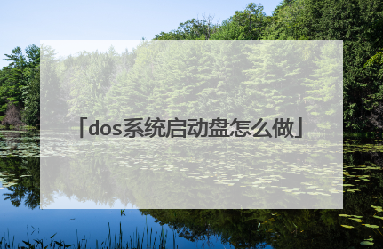 dosϵͳ��������ô��