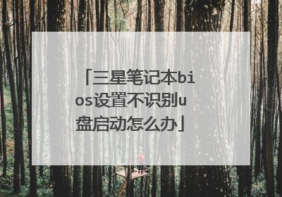 三星笔记本bios设置不识别u盘启动怎么办