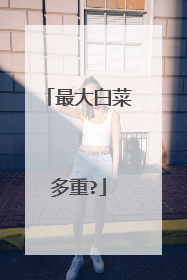 ���ײ˶���?