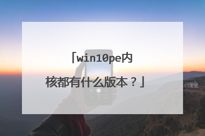 win10pe内核都有什么版本?