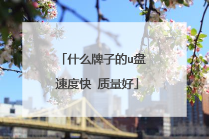 ʲô���ӵ�u���ٶȿ� ������